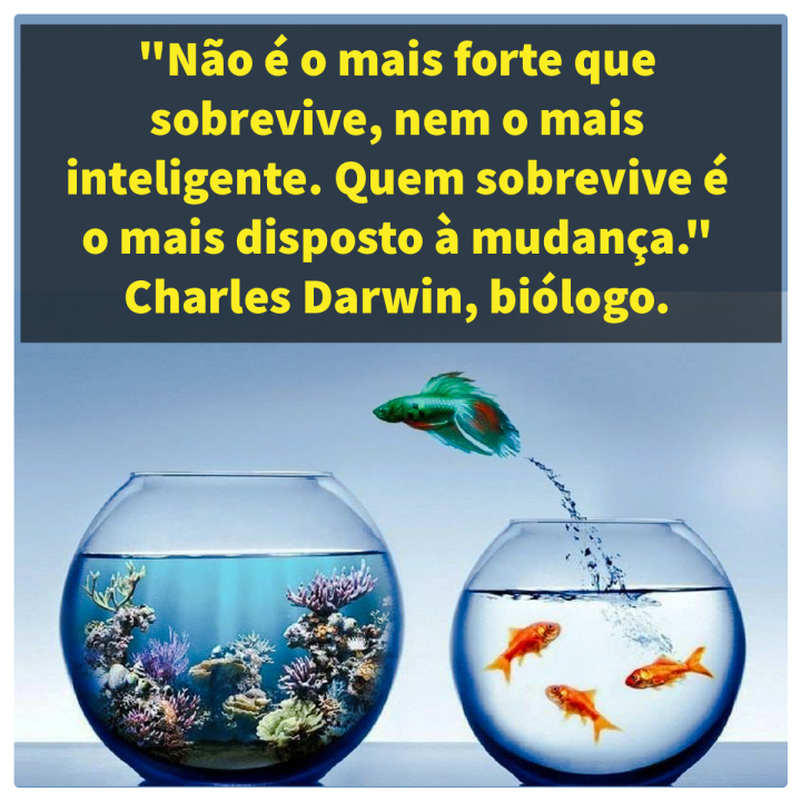 Scaled image darwin_insta.jpg 