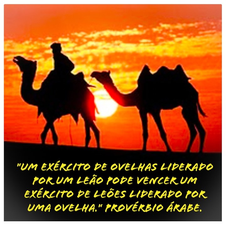 Scaled image leao_insta.jpg 