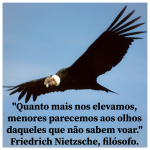 Thumbnail condor_insta.jpg 