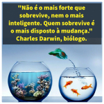 Thumbnail darwin_insta.jpg 