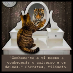 Thumbnail gato_insta.jpg 