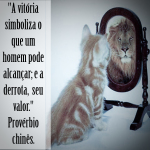 Thumbnail gato_valor_insta.jpg 