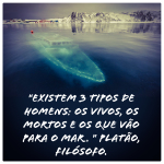 Thumbnail mar_sem_fim_insta.jpg 