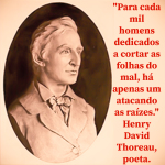 Thumbnail thoreau2_insta.jpg 