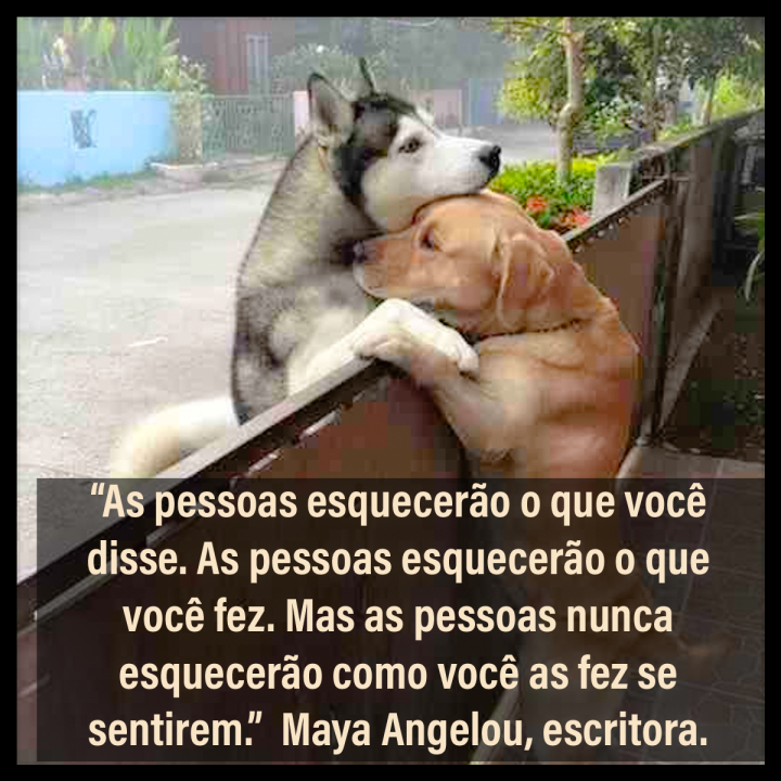 Scaled image 2001100758b_angelou_insta.jpg 