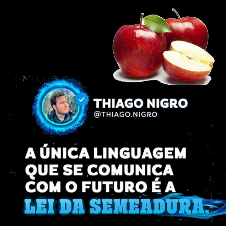 Scaled image 2004050832b_nigro_insta.jpg 