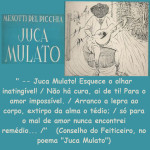 Thumbnail 2003221643b_picchia_insta.jpg 